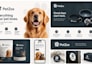 design a modern tech logo and a fast brand identity solution